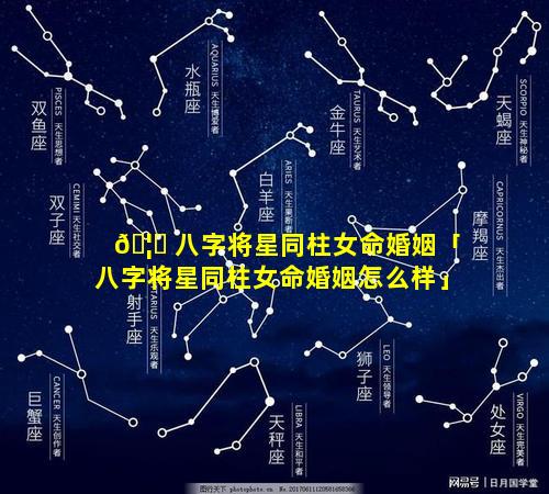 🦟 八字将星同柱女命婚姻「八字将星同柱女命婚姻怎么样」